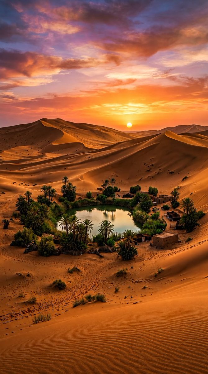 DesertAndPeaks's tweet photo. The desert hides its secrets well.

Golden dunes for miles, and then... life. Water, palms, peace.

This is why I chase deserts. https://t.co/pVl3NhOvAB
