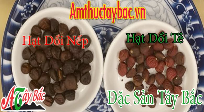 amthuctaybacvn's tweet photo. Bật mí cách dùng hạt dổi đúng chuẩn Tây Bắc
xem thêm:https://t.co/lEVqeQWcWB
#batmicachdunghatdoidungchuantaybac #lamchamcheo #hatdoitaybac https://t.co/3Q8q20Awm8