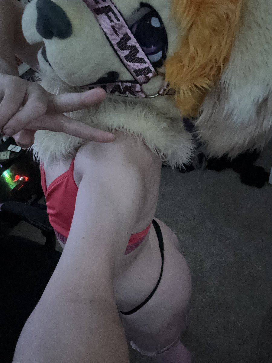 ADMaplesSyrup's tweet photo. Awuffff :3 wonder what that black strap is for 🤭 https://t.co/TvZ9F9wNh4
