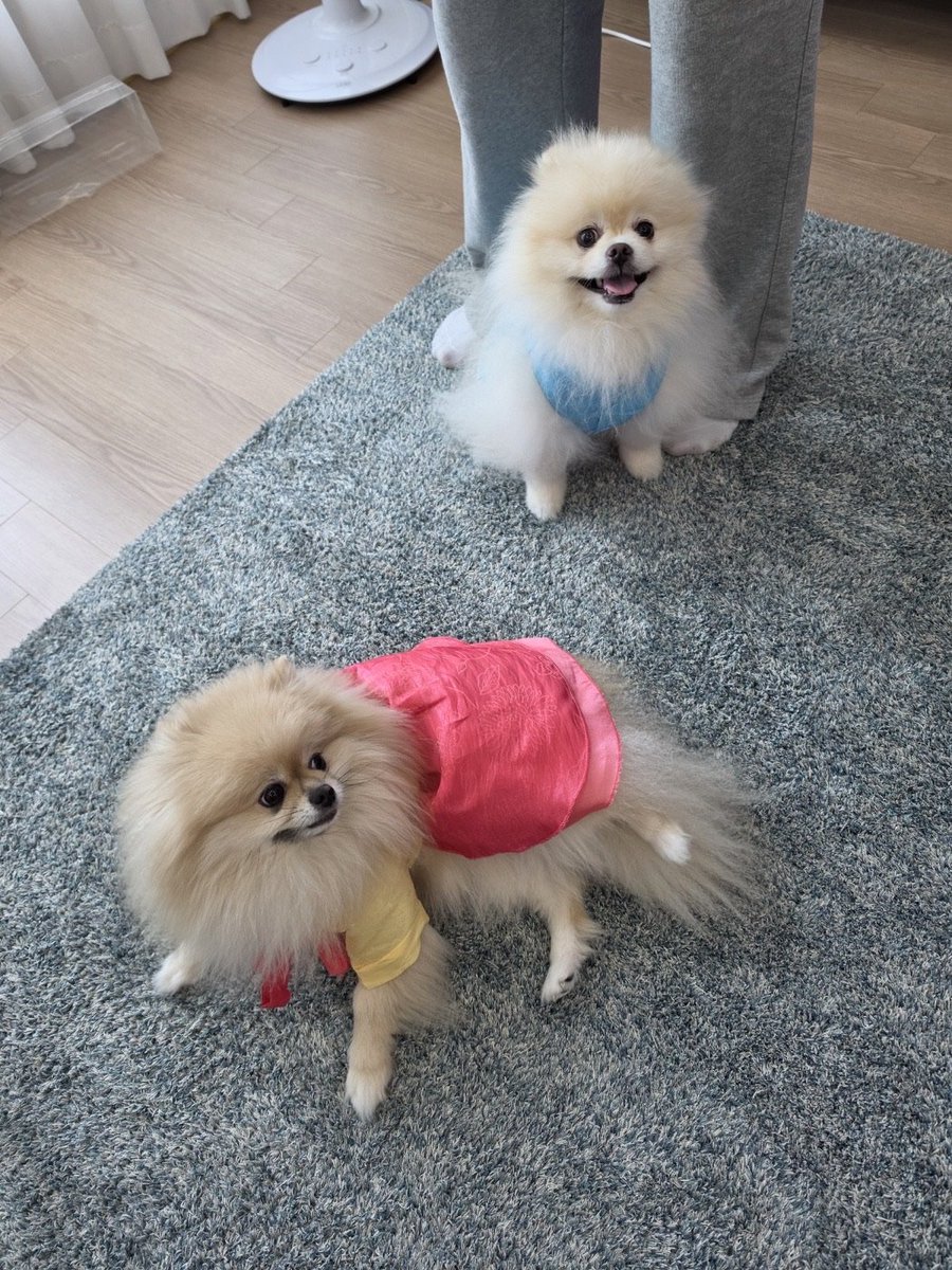 zerobyeon tweet picture