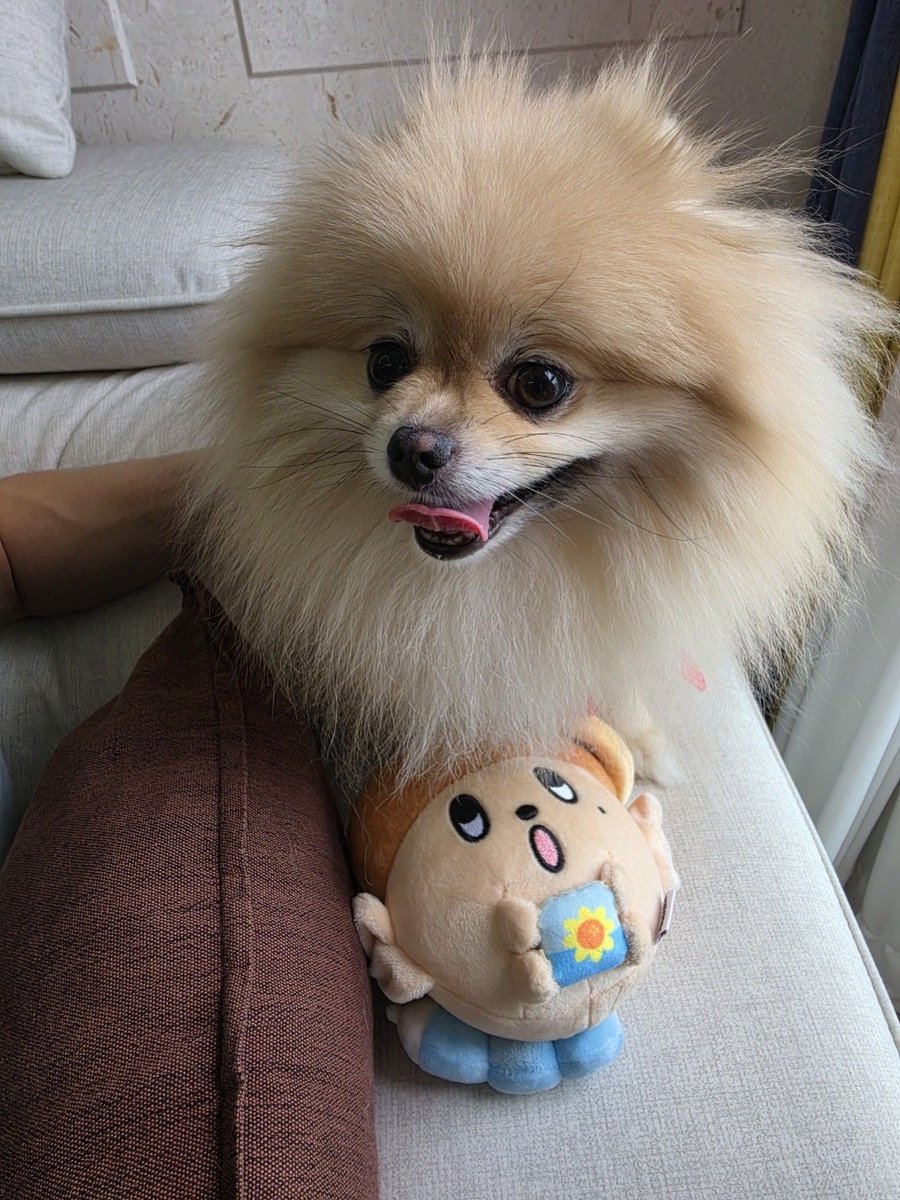 zerobyeon tweet picture