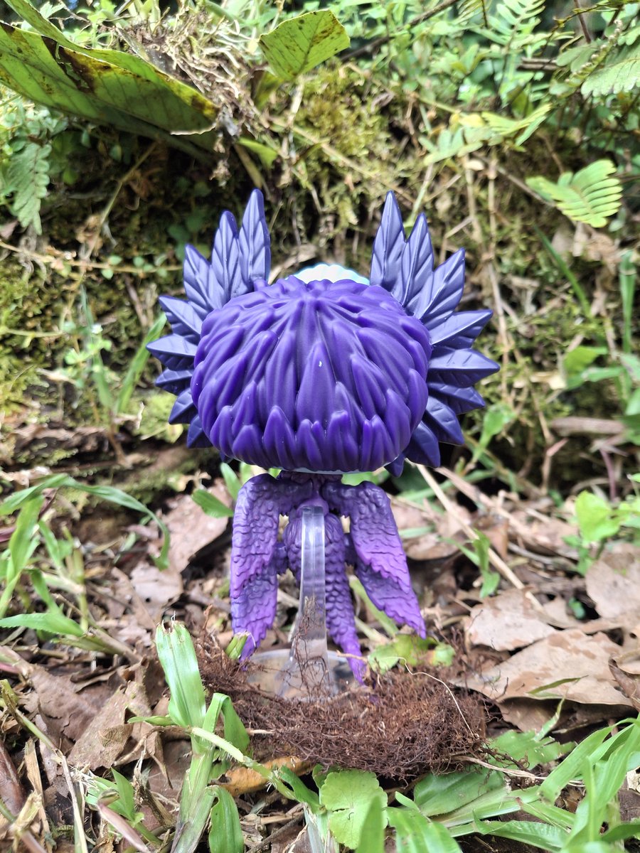 Sergioo506's tweet photo. #WoodSprite
#Pinocchio #PopMovies #Netflix @OriginalFunko @netflix https://t.co/SztsU8FWPn