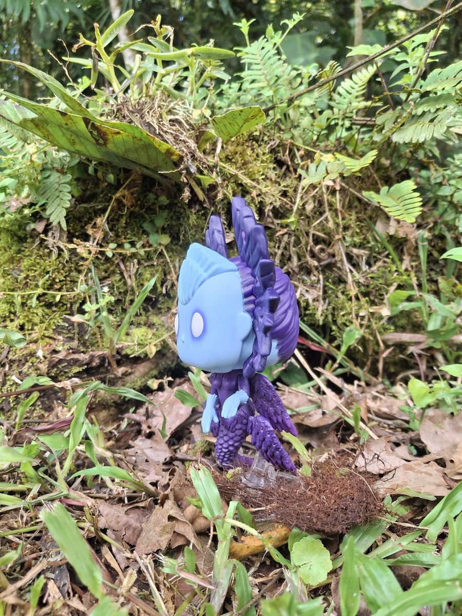 Sergioo506's tweet photo. #WoodSprite
#Pinocchio #PopMovies #Netflix @OriginalFunko @netflix https://t.co/SztsU8FWPn