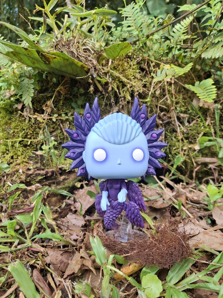 Sergioo506's tweet photo. @OriginalFunko @netflix #WoodSprite
#Pinocchio #PopMovies #Netflix @OriginalFunko @netflix https://t.co/uRYlJL5VhH