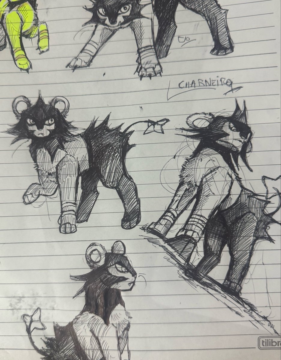 charneirq's tweet photo. LUXIO LUCIO💥

Vou pintar amanhã https://t.co/aAxUYGSkBs