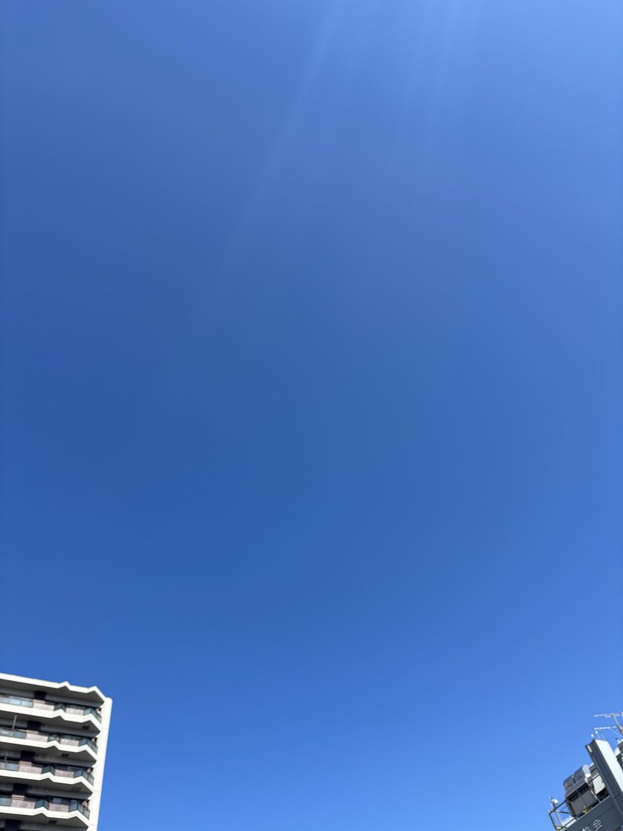 chihorin007's tweet photo. お空真っ青 https://t.co/GeK4vMWxmy