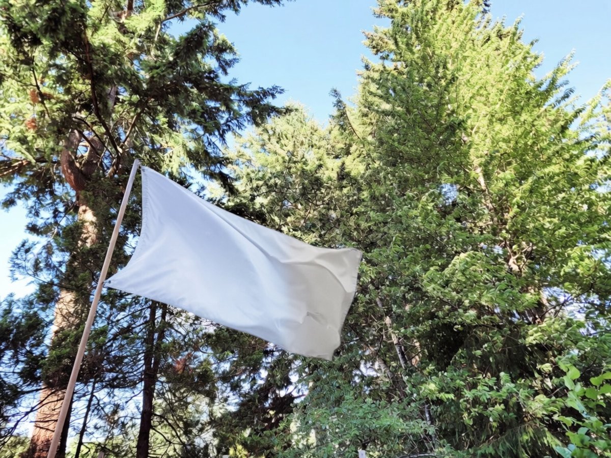 meridianagov's tweet photo. Welcome to the official account for the Kingdom of Meridiana on @X!
Established in 2020, Meridiana is a small, self-proclaimed state situated near the Canadian West Coast. Follow us to stay updated on the latest Meridianan news!
#meridiana #micronations #welcome https://t.co/P32GDnAYb9