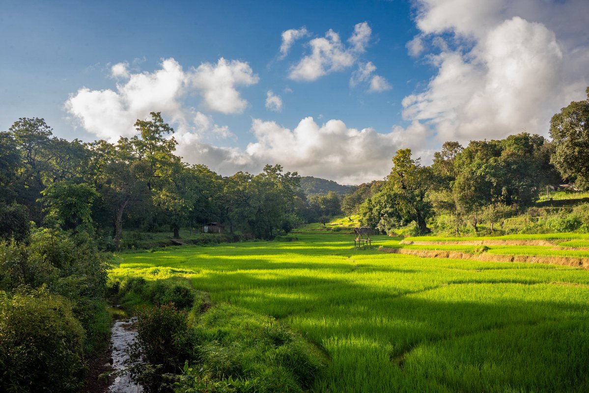squibsters's tweet photo. Some of the most beautiful landscapes and people I’ve met. 

Dandeli, Uttara Karnataka https://t.co/57AFUHQAH8