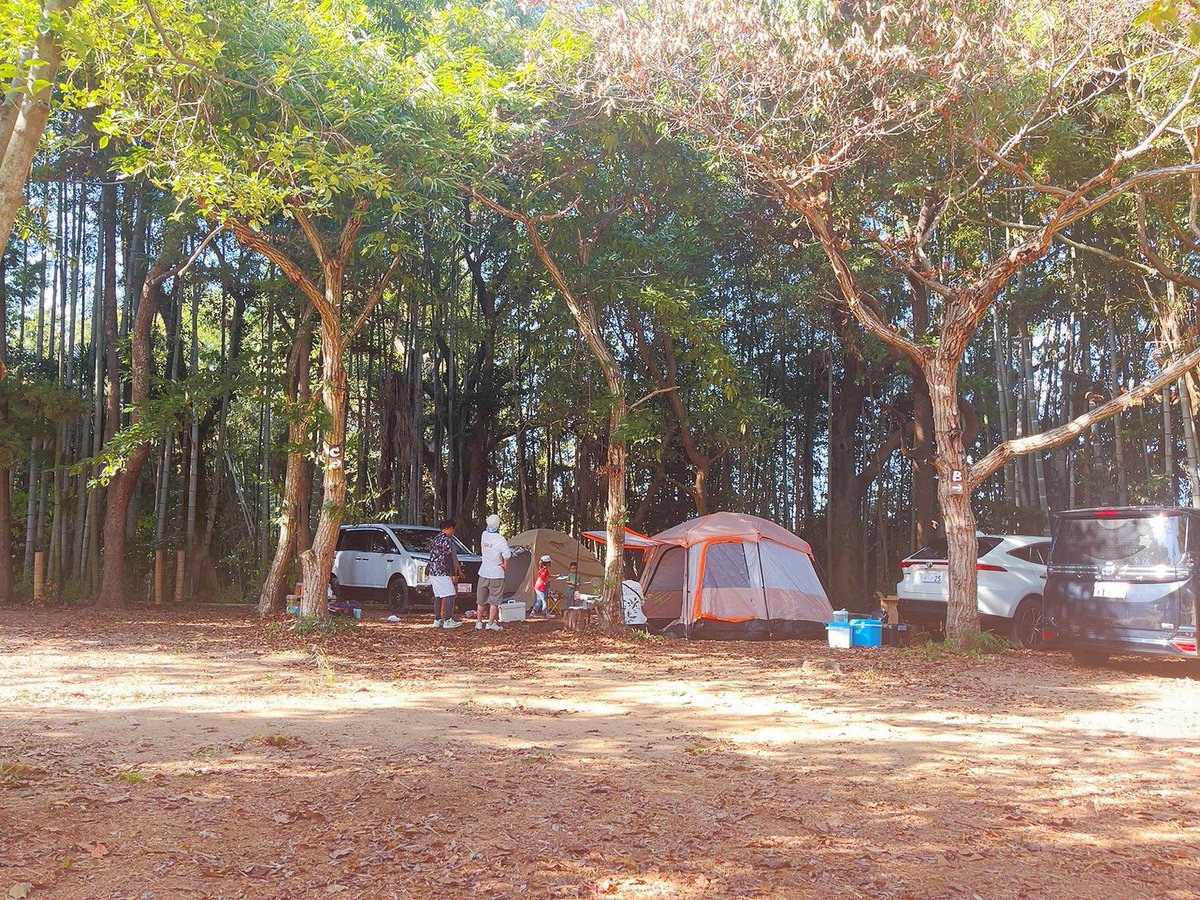 h0__xn's tweet photo. 職場のスタッフとその他諸々で
キャンプしてきた🏕

経験者少なすぎて
グダグダなのも楽しかった😂

人生山あり谷あり〜
周りに支えられて
本日も社不社畜頑張ります💪🏻 https://t.co/WwPAB9I2rw