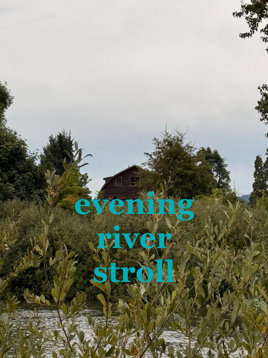 A serene landscape view of a wooden cabin across a river surrounded by lush green trees and bushes, with cyan text overlay reading 'evening river stroll'.