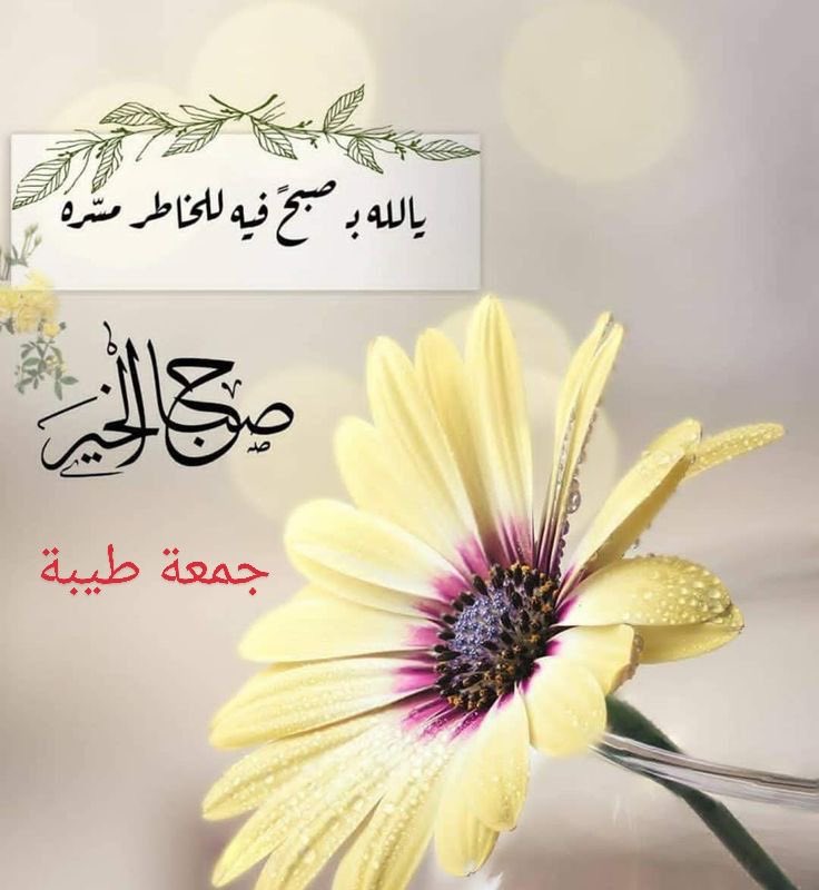 malak_h2020's tweet photo. اللهم اكتب لنا في يومنا هذا خيرًا وفرحًا وبركة، واصرف عنا كل سوء، واغمر قلوبنا بالطمأنينة🌸

#صِبّــآحً_آلَخٌــيّر_وِآلَسًعَـــآدُهِ #صِـبّـآحً_آلَأشّــيّآء_آلَمِشّـرقَـة 
#اقتباسات #جمعة_مباركة https://t.co/h1H3i3euUq