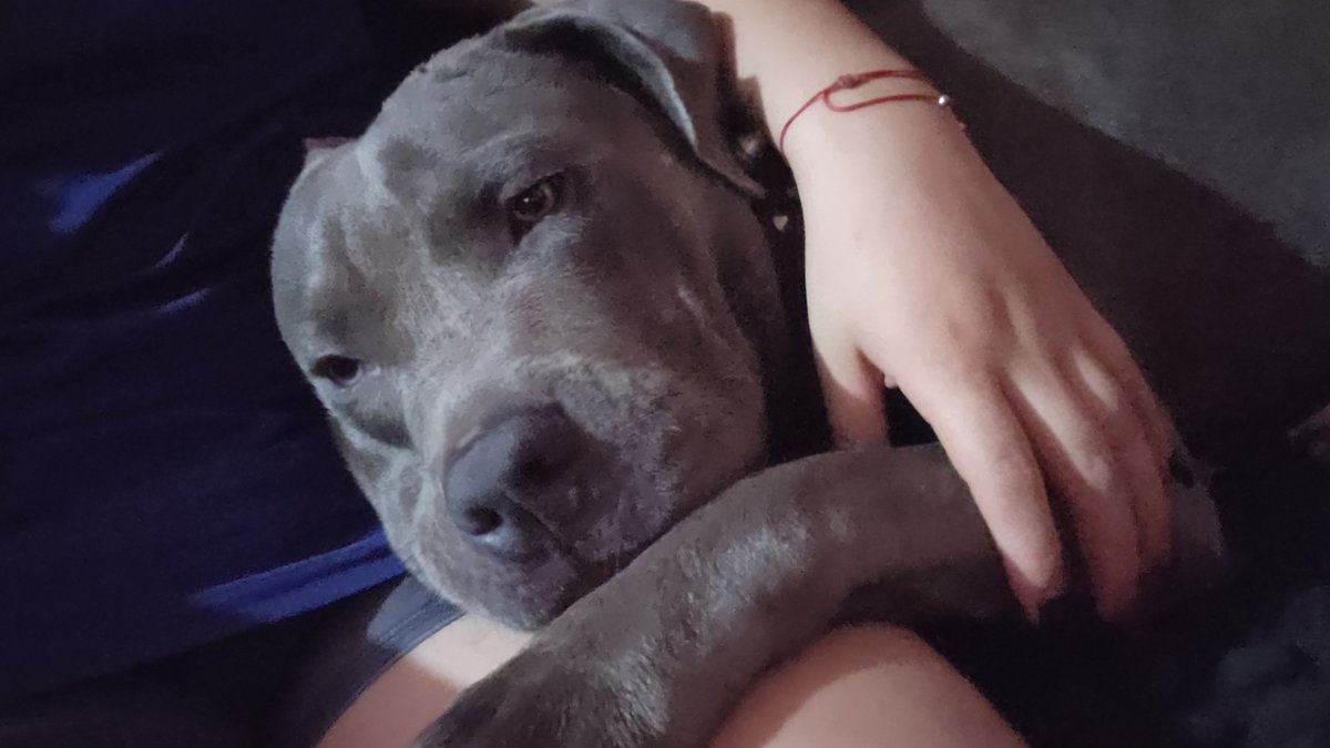 jennstracked's tweet photo. Está obsesionado conmigo este cabron emocho😩❤️ https://t.co/vhlzzFcOpr
