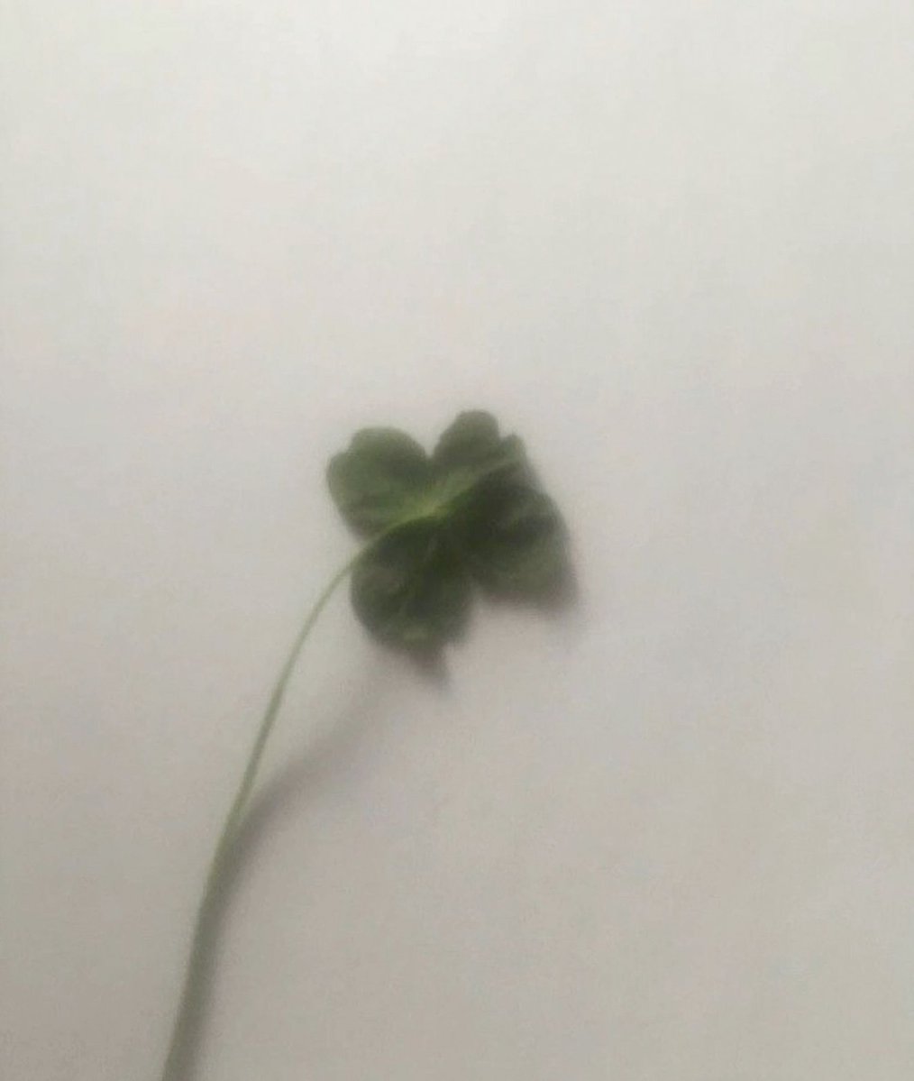 ___aomyz's tweet photo. サッカーのオフサイドとか野球で進塁せず戻らないとアウトとられるやつとか、知らないと揉める原因になるからルールの共有は重要。&amp;gt;RT https://t.co/BrXoVD47ox