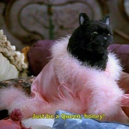 CatOfSarcasm's tweet photo. https://t.co/pGYVeN1Jwm