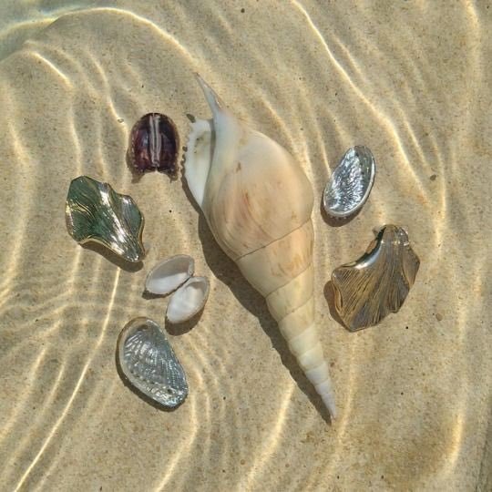 naturevisuaIs's tweet photo. under the sea https://t.co/vYRu5siZdb