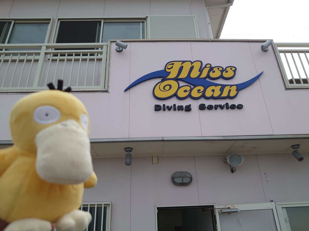 tabikodakku's tweet photo. 旅コダック南紀白浜
久しぶりの海遊び、シュノーケリングしてきました😇
海の透明度が素晴らしく、ガイドさんにポイントを教えてもらいながら綺麗なお魚さんたちを眺めました🥰 https://t.co/gVWn3UpIc7