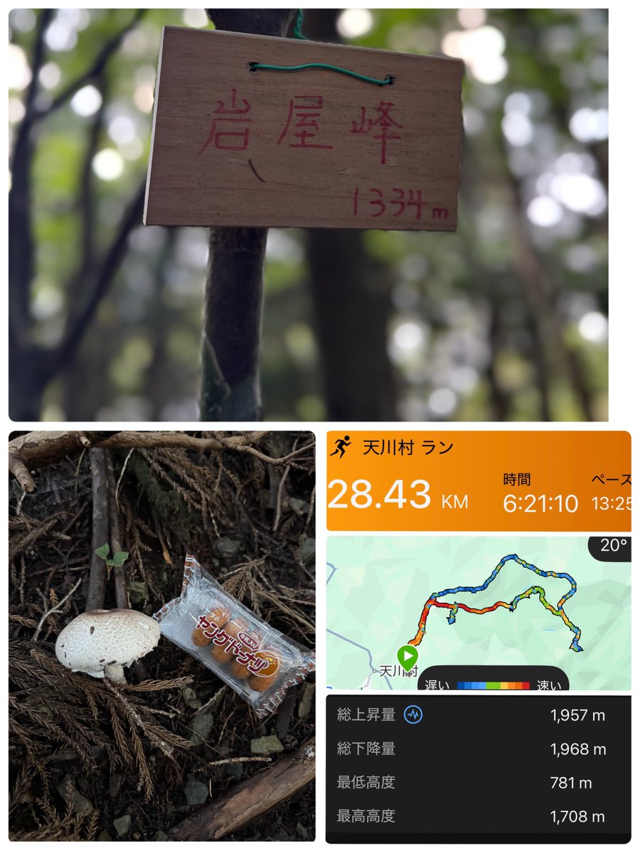msktmr0816's tweet photo. 奈良県
大峰山系のお山徘徊⛰️
28km 6時間21分

久しぶりのお山修行
お天気は微妙だし体もオモオモだったけど、登れるだけで嬉しい&amp;楽しい🤣

#大峰山系 #岩屋峰 #蛇之倉七尾山 #天川村 https://t.co/NLjJRPtXko