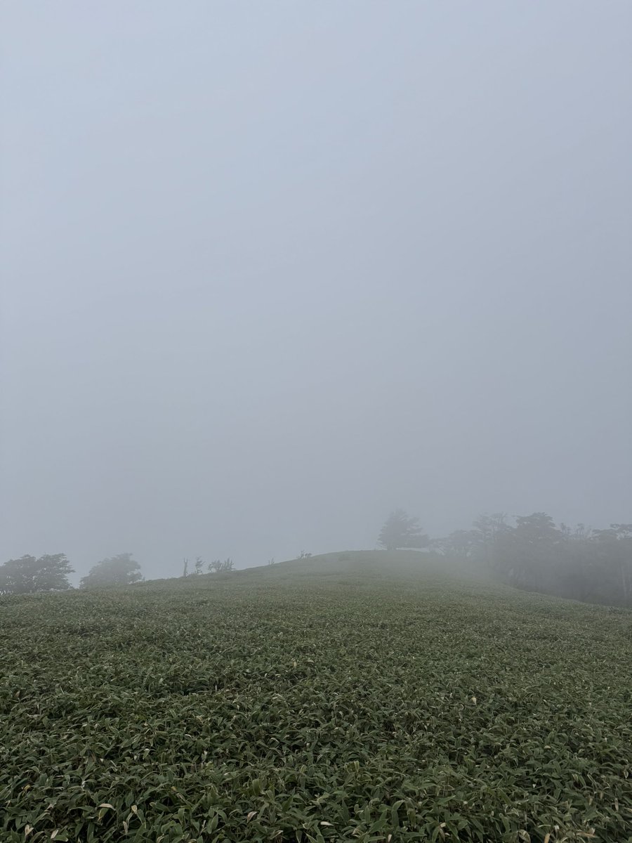 msktmr0816's tweet photo. 奈良県
大峰山系のお山徘徊⛰️
28km 6時間21分

久しぶりのお山修行
お天気は微妙だし体もオモオモだったけど、登れるだけで嬉しい&amp;楽しい🤣

#大峰山系 #岩屋峰 #蛇之倉七尾山 #天川村 https://t.co/NLjJRPtXko