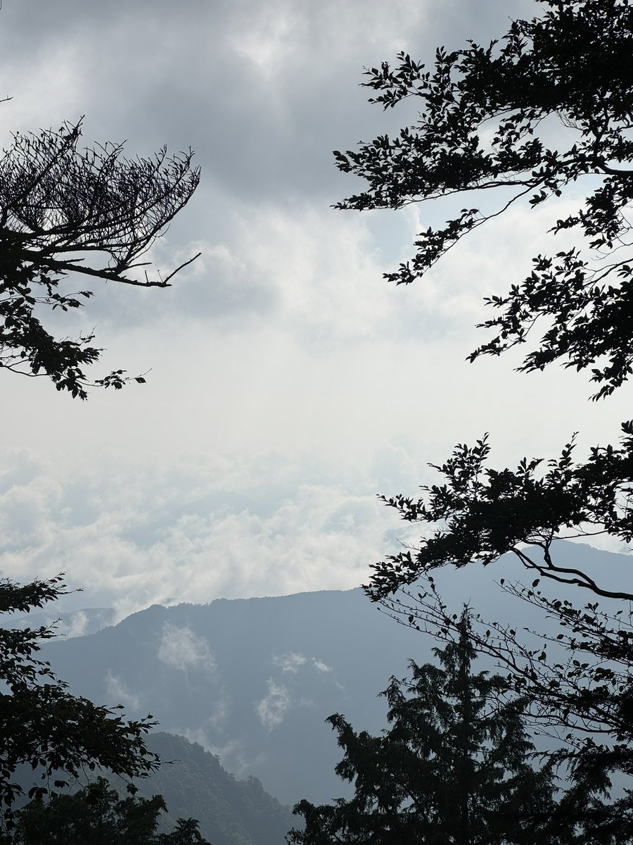 msktmr0816's tweet photo. 奈良県
大峰山系のお山徘徊⛰️
28km 6時間21分

久しぶりのお山修行
お天気は微妙だし体もオモオモだったけど、登れるだけで嬉しい&amp;楽しい🤣

#大峰山系 #岩屋峰 #蛇之倉七尾山 #天川村 https://t.co/NLjJRPtXko