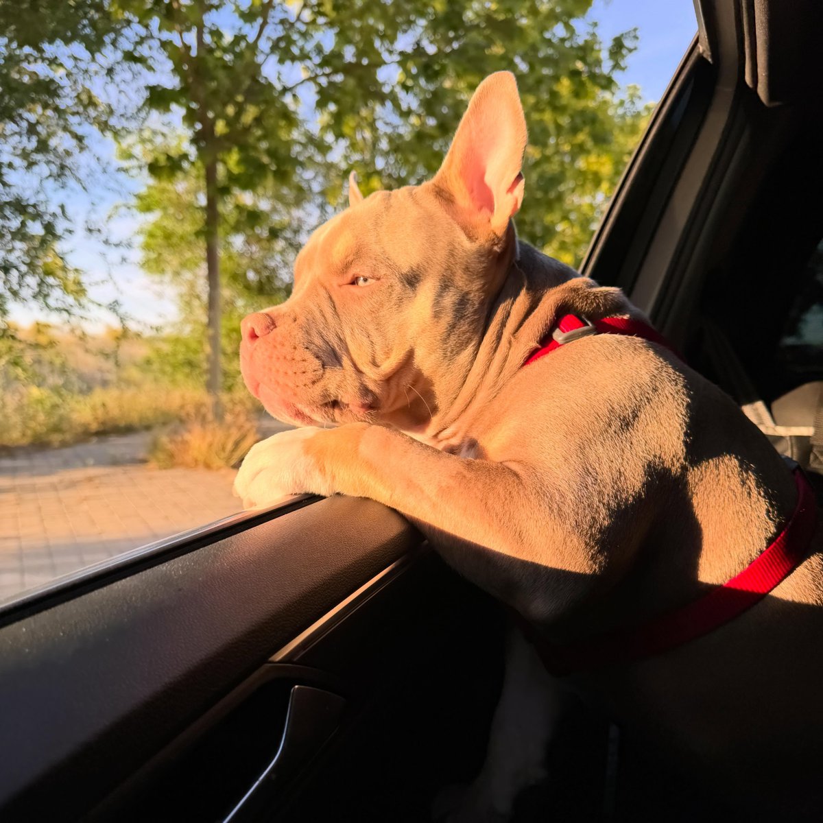 addisonwilopct's tweet photo. Out for a walk. https://t.co/nUz0M6G9J5