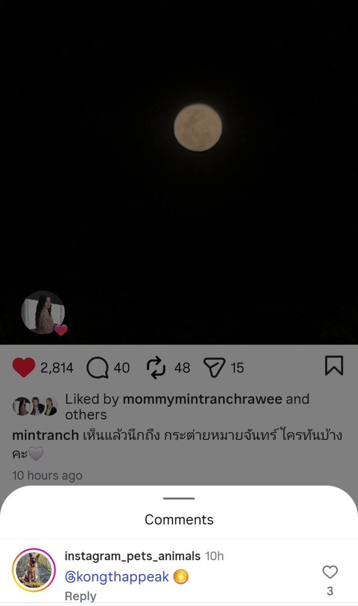 aoikotori's tweet photo. ห้ะะะ แอคนี้ชิปเหรอ 😂

CHEERING FOR PEAKMINT

#พีคมิ้นท์ #PEAKMINT https://t.co/swpwdTCzDP