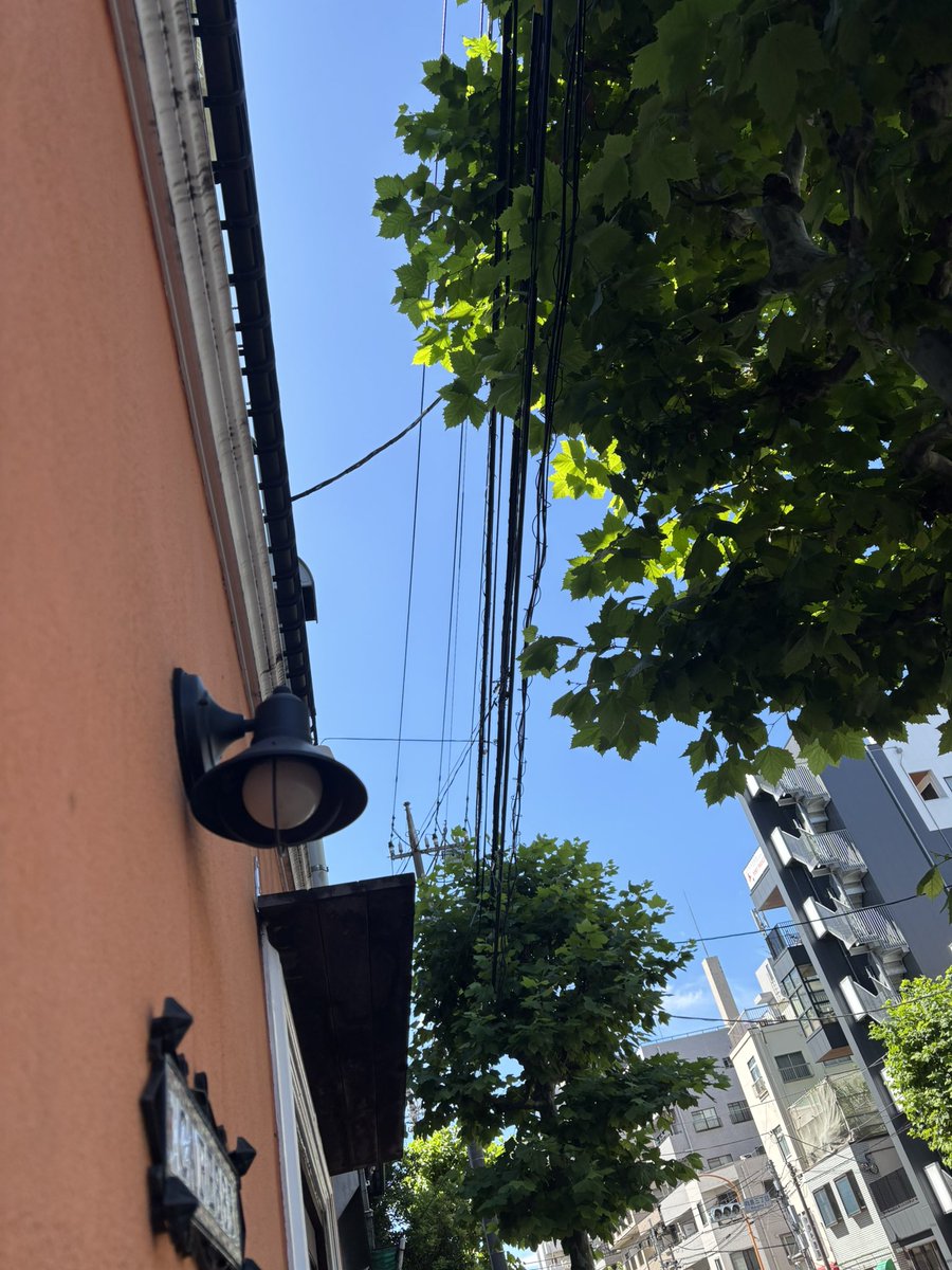 Cafe883Oshiage's tweet photo. 9月25日(金)☀️
☀️昼の部　11:45～14:30(Lo.14:00)
🌙夜の部　18:00～20:30(Lo.20:00) 

今日は晴れ
気温も過ごし易くいい感じ
夜中から雨の予報ですので
お出掛けするなら今日ですね

昨日の夜は暇でしたので
今日はとうなる事でしょう

間もなく開店です

#cafe883 #ランチ #晩御飯 #おひとりさま https://t.co/tO3qdmHD6B