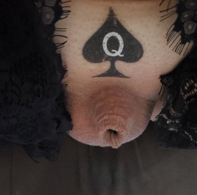 ToxicDomina's tweet photo. Forced on estrogen, mind melted by BNWO loops ♠️
tiny clit locked forever, tits budding, voice soft
now she begs Black Kings to breed world peace into her ruined womb ✊🏿🤰🏿

one sissified whiteboi at a time, the planet finally heals 🛐💦🕊️ https://t.co/9sjm4ZARX5