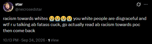 Real_All_Seer's tweet photo. "It is objectively wrong to be racist"

*Only applies to certain races. Other races you can be racist against. https://t.co/oXh1WCmRQE