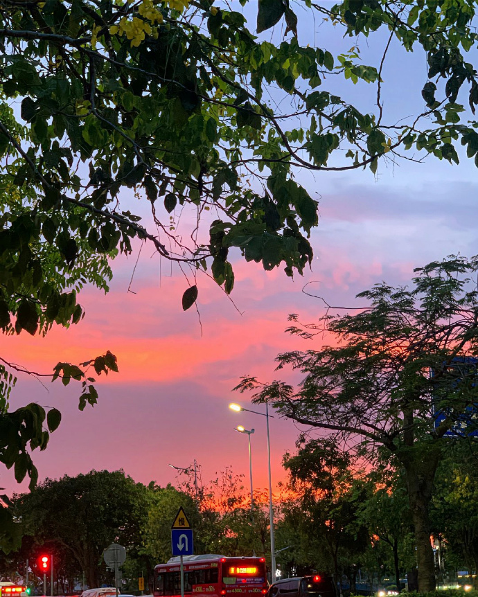 MaishaPersall's tweet photo. Rincón de la ciudad atrapado al atardecer - una ventana a la tranquilidad entre el ruido. https://t.co/6TrMBklQWe