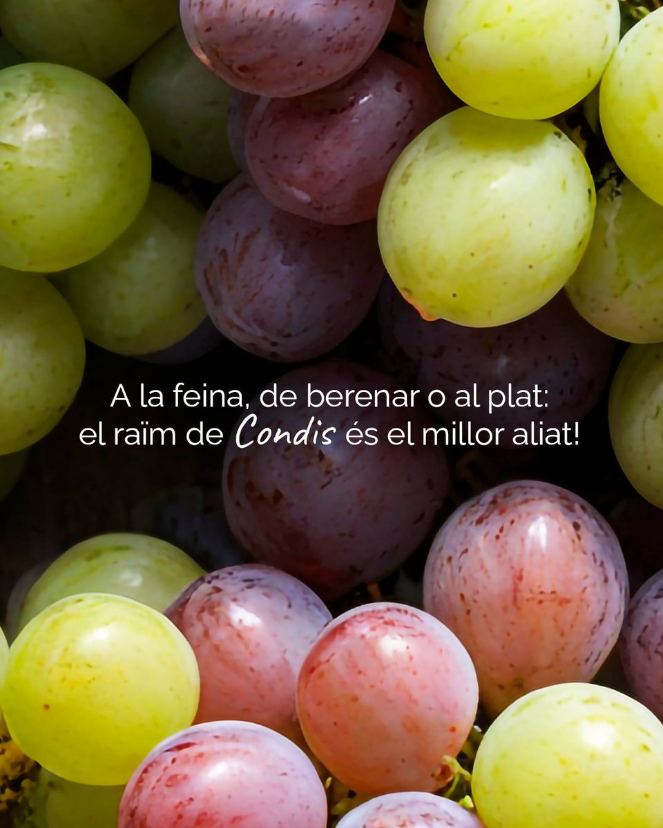 Condislife's tweet photo. Un grapat d’energia natural i de temporada per superar el setembre! Sabies que el raïm és la fruita perfecta per aquesta temporada? 🍇

Aprofita que estem en plena època de verema i passa per la teva secció de frescos de Condis a buscar el teu ram. https://t.co/y54JN6Hfd7