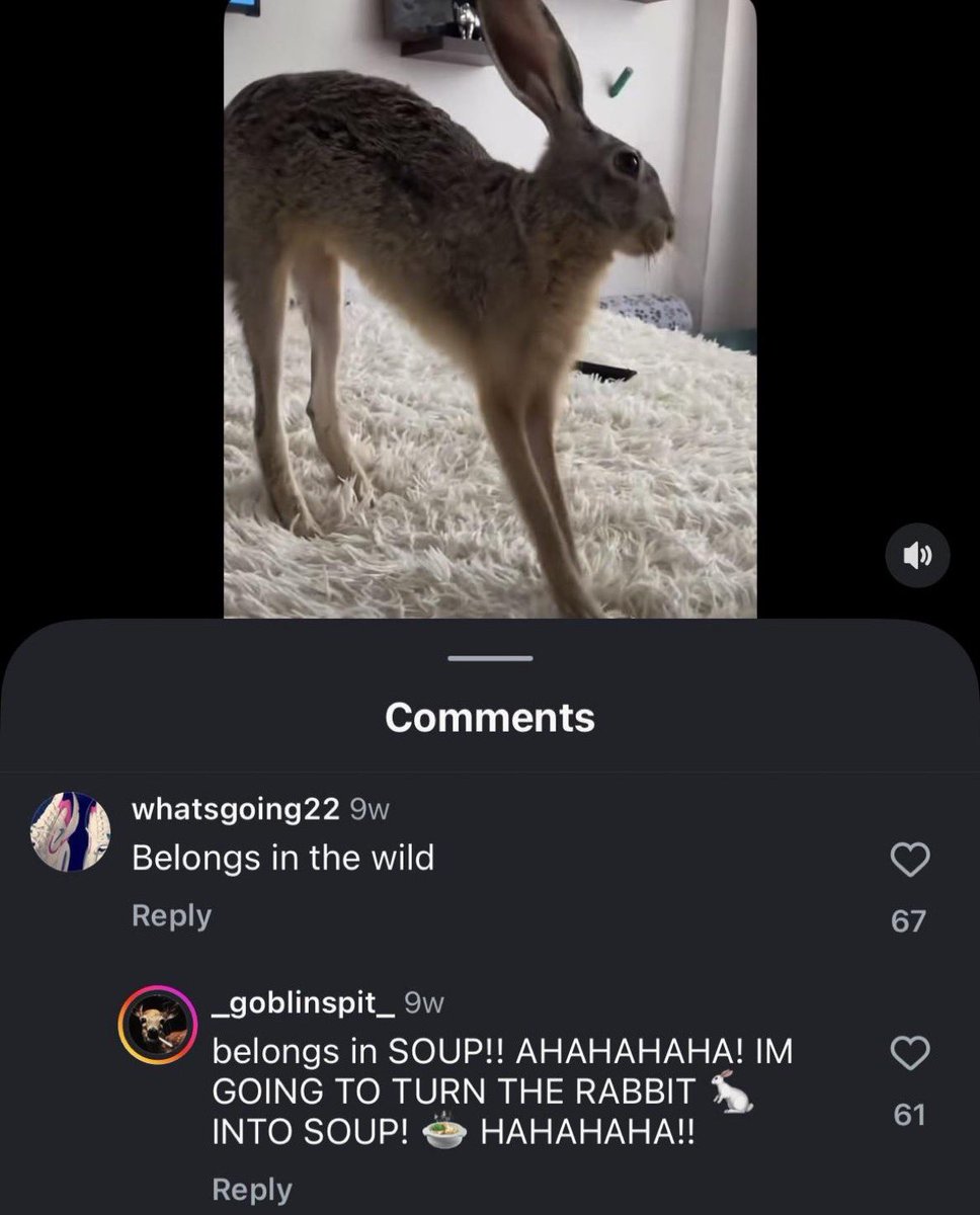 bunnyposting_'s tweet photo. please don’t turn me into soup https://t.co/m0K1X69MIV