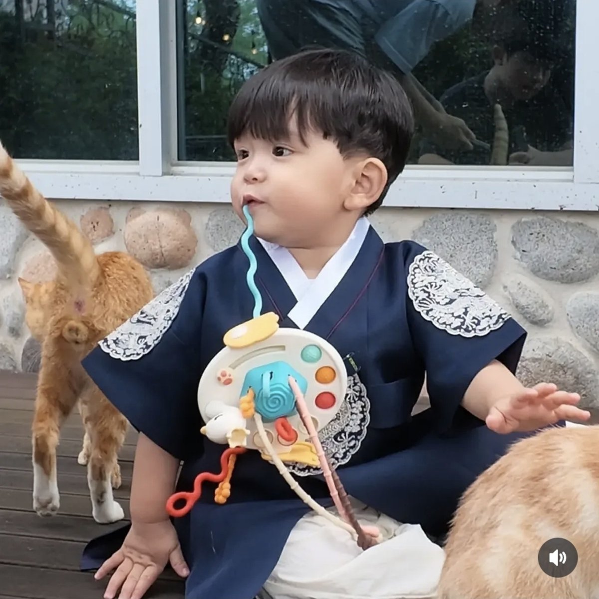 choibeargyu's tweet photo. ของเล่นชิ้นเดิมปะนิ น้องยูจุนดูชอบอยู่ ชอบเอาเข้าปาก https://t.co/46kDKpLYzu