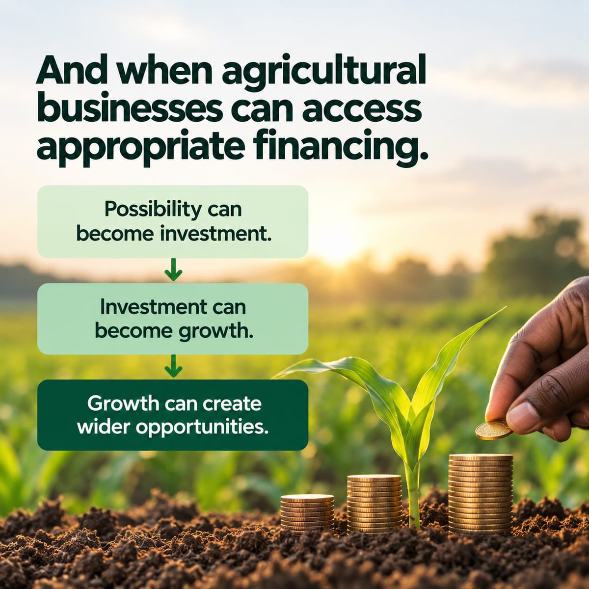 ACGSFNG's tweet photo. Agriculture needs more than land and labour.

It needs access to capital, equipment, markets, infrastructure and opportunity.

Because agricultural finance isn't just about funding a business.

It's about creating room for that business to grow. 🌱

#ACGSF https://t.co/bpIEEWnbsO