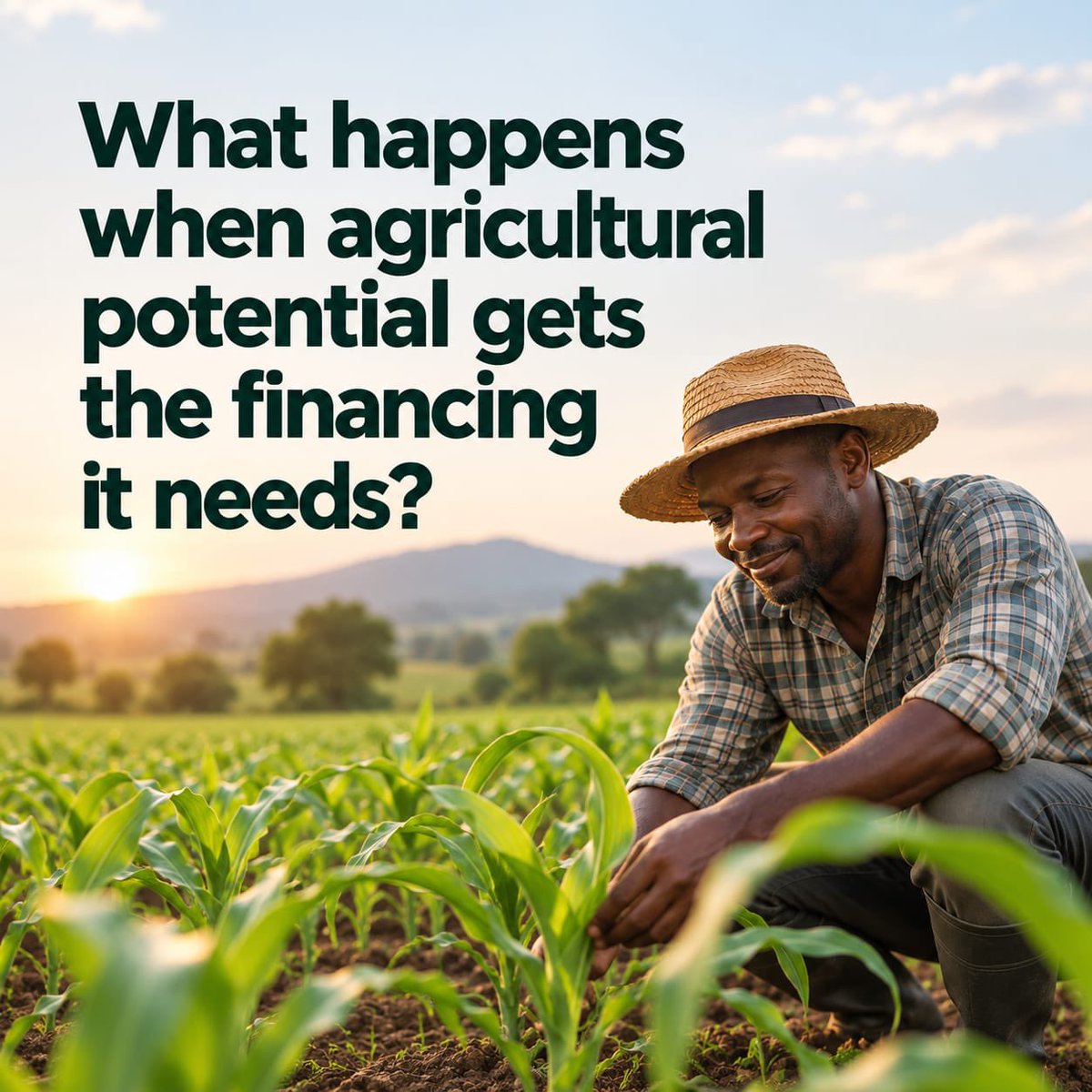 ACGSFNG's tweet photo. What happens when agricultural potential gets the financing it needs? 🌱

A farmer can move from “I want to expand” to “I can expand.”

A processor can move from “I can produce more” to “I can reach more markets.”

#GrowWithACGSF https://t.co/8DliJrXTob