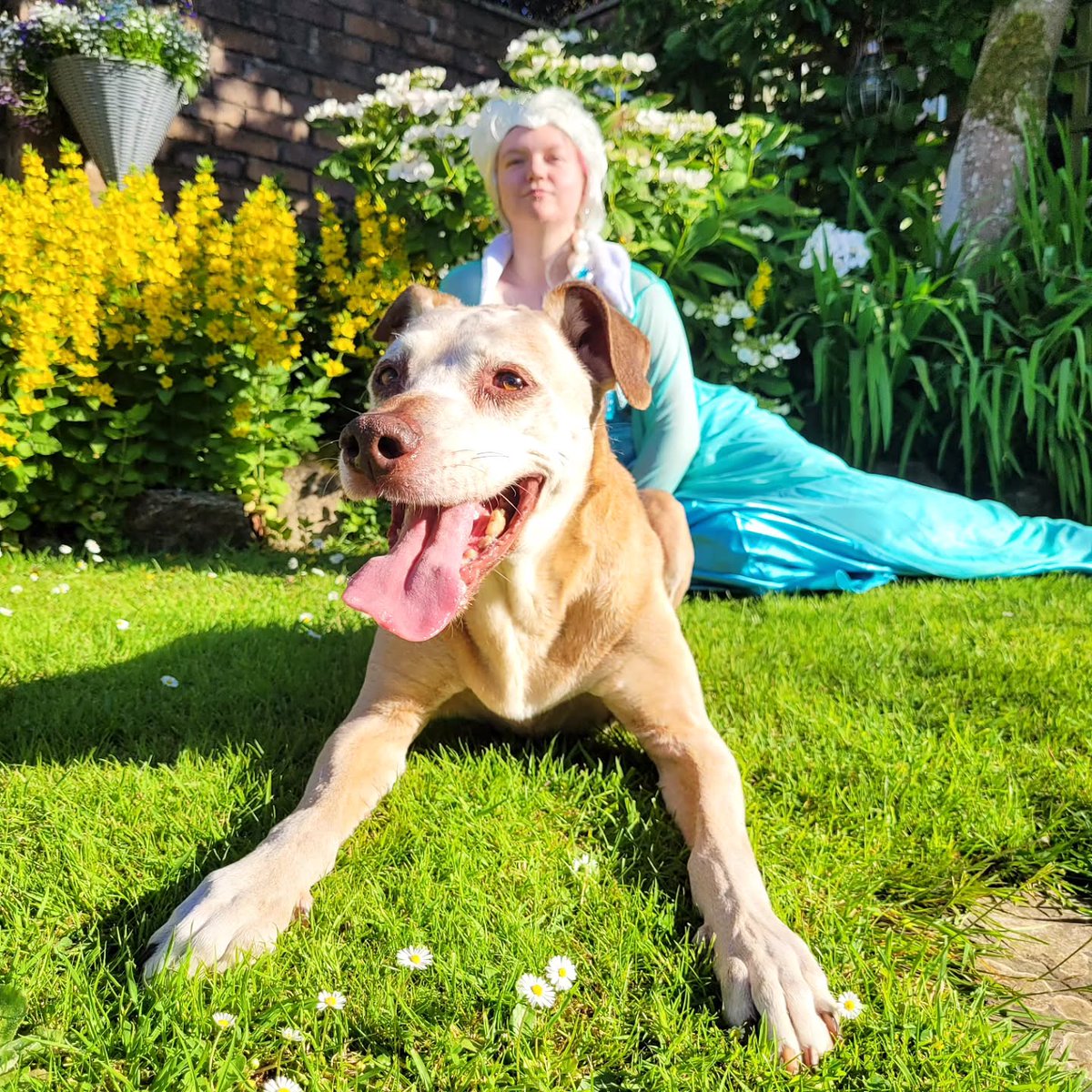 ShantelHau3dv's tweet photo. When Princess Elsa meets her namesake. https://t.co/7ZY1iklwjr