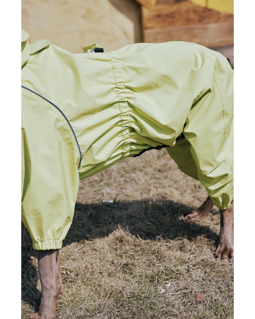 luckydudu_box's tweet photo. Rainy days no longer stop your dog’s walks. Waterproof full‑coverage design. Adjustable hood and waist for better fit. Reflective strips add safety for outdoor trips.
#fyp #foryou #dograincoat #petoutdoor #dogclothes
https://t.co/HyigmNkLpi https://t.co/PbIHOT2oUY