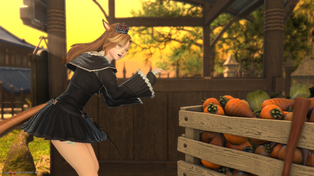 FFXIV_R's tweet photo. 可愛いSS撮りたいなーと思ってエモート確認してたらドロボーしようとして見つかっちゃった人みたいになってわろてる https://t.co/EUchX50J5I