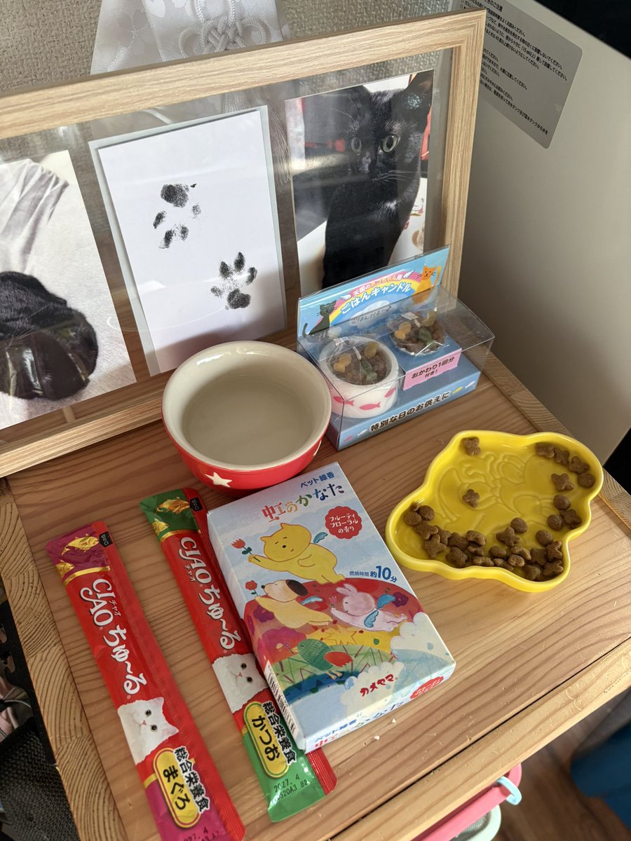 __70xx_'s tweet photo. 他の猫様方、お供えのご飯
つまみ食いすんのやめれる？ https://t.co/x3xbzqgZa6