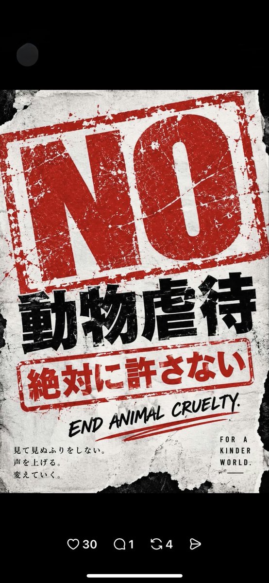 Tonnchannteycpt's tweet photo. 動物拷問者👇 https://t.co/FkSqVfhLde