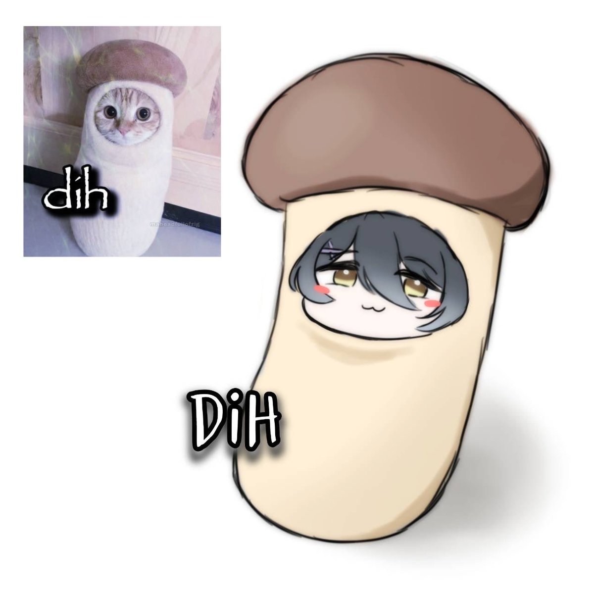 HikakuMichi's tweet photo. Dih 🍄‍🟫 https://t.co/O5rpewgINH