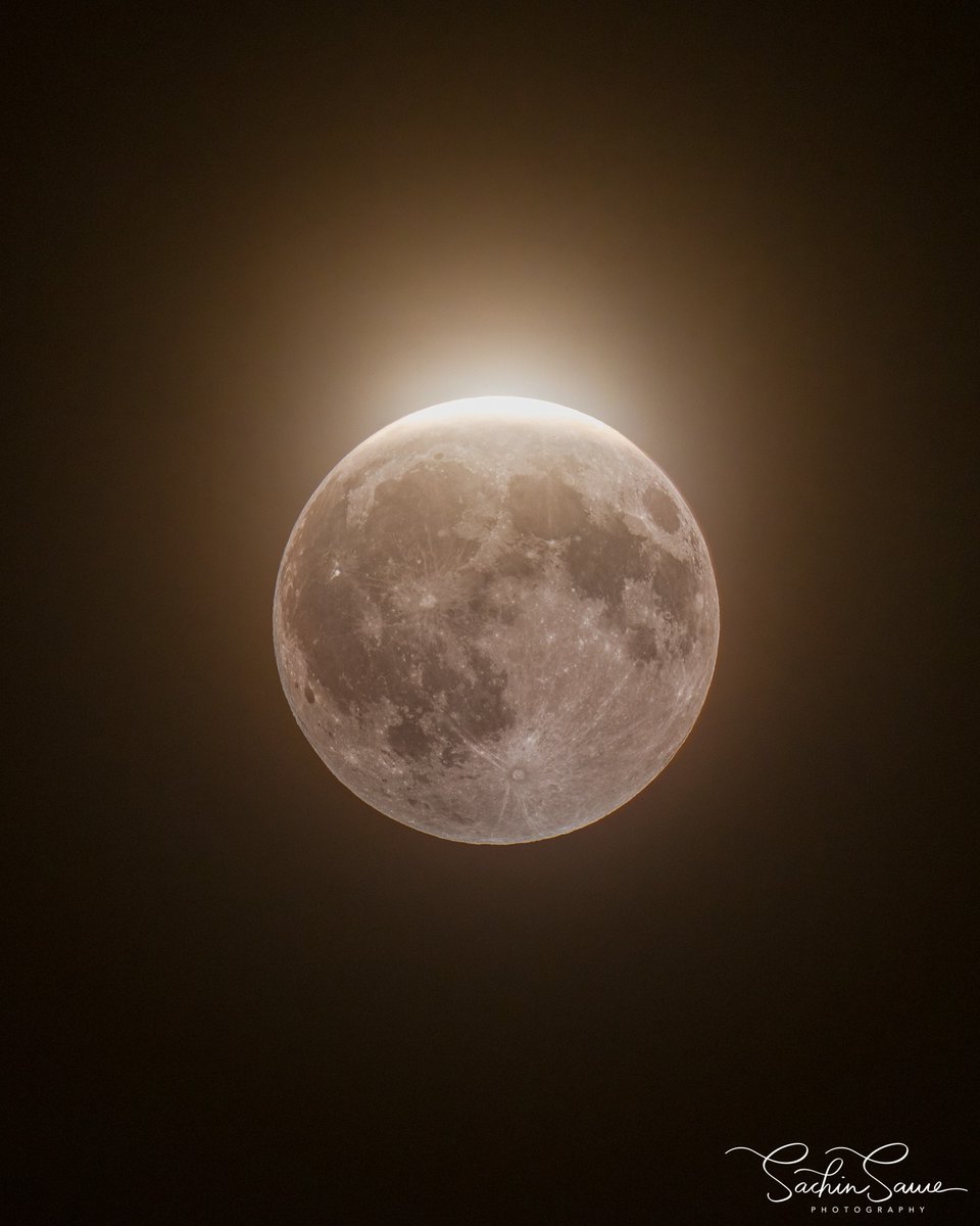 ColeneHaulu0y's tweet photo. At 12:12 AM, the Moon reached 96% eclipse, leaving only a thin sunlit sliver. A golden-copper glow spread across its shadowed surface, surrounded by an ethereal halo. Captured at 600mm f/4—worth every late-night minute. https://t.co/dLeJRRnGXZ