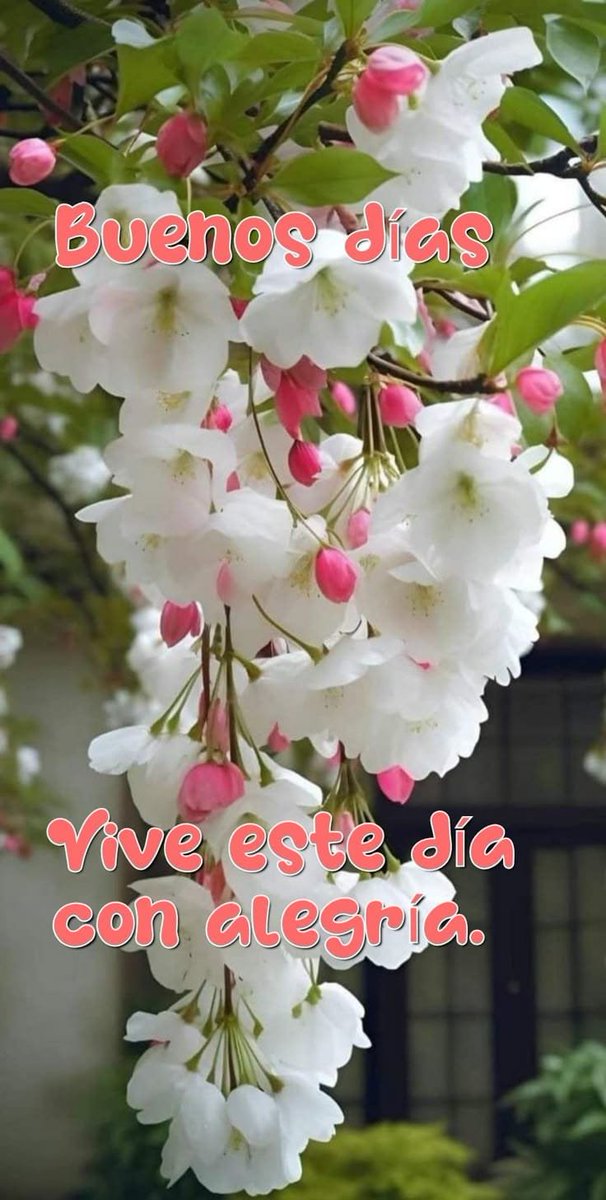 charycae's tweet photo. ¡Feliz viernes! 🥰
Último viernes de Septiembre y hoy tenemos una buena razón para celebrar: hemos llegado hasta aquí.😍
Dejemos atrás el cansancio de la semana y recibamos estos días de descanso con alegría, tranquilidad y buenos momentos. ❤️

🇪🇦☕💪🤗😘🫂🙂🥰😍❤️😀🤗🇪🇦 https://t.co/u6Ygt9JBLG