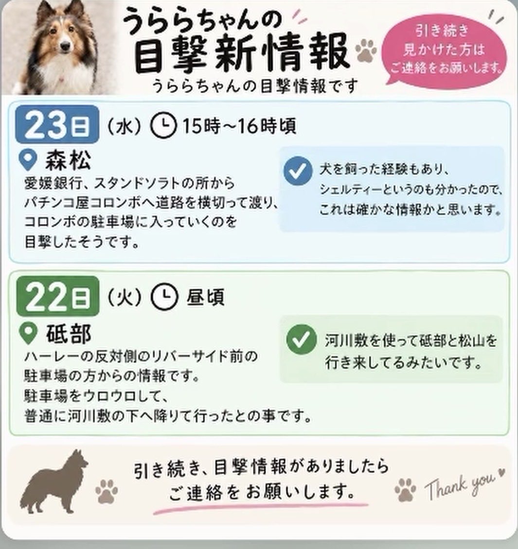 WISHSNOOPY6922's tweet photo. 拡散希望です！ https://t.co/KmGcwlJ123