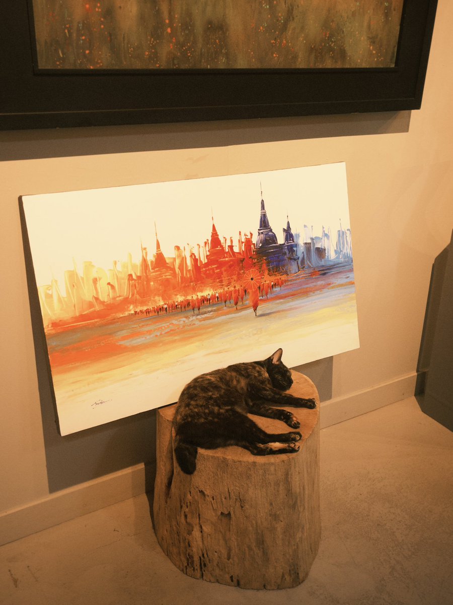 r_sun_j's tweet photo. 🐈😴 https://t.co/lOGonXi9x4