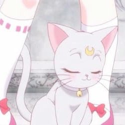 WinderShar50006's tweet photo. 面白い君が好きだよ！🤑 眠気が覚めた！ https://t.co/mqCZgxhNTw