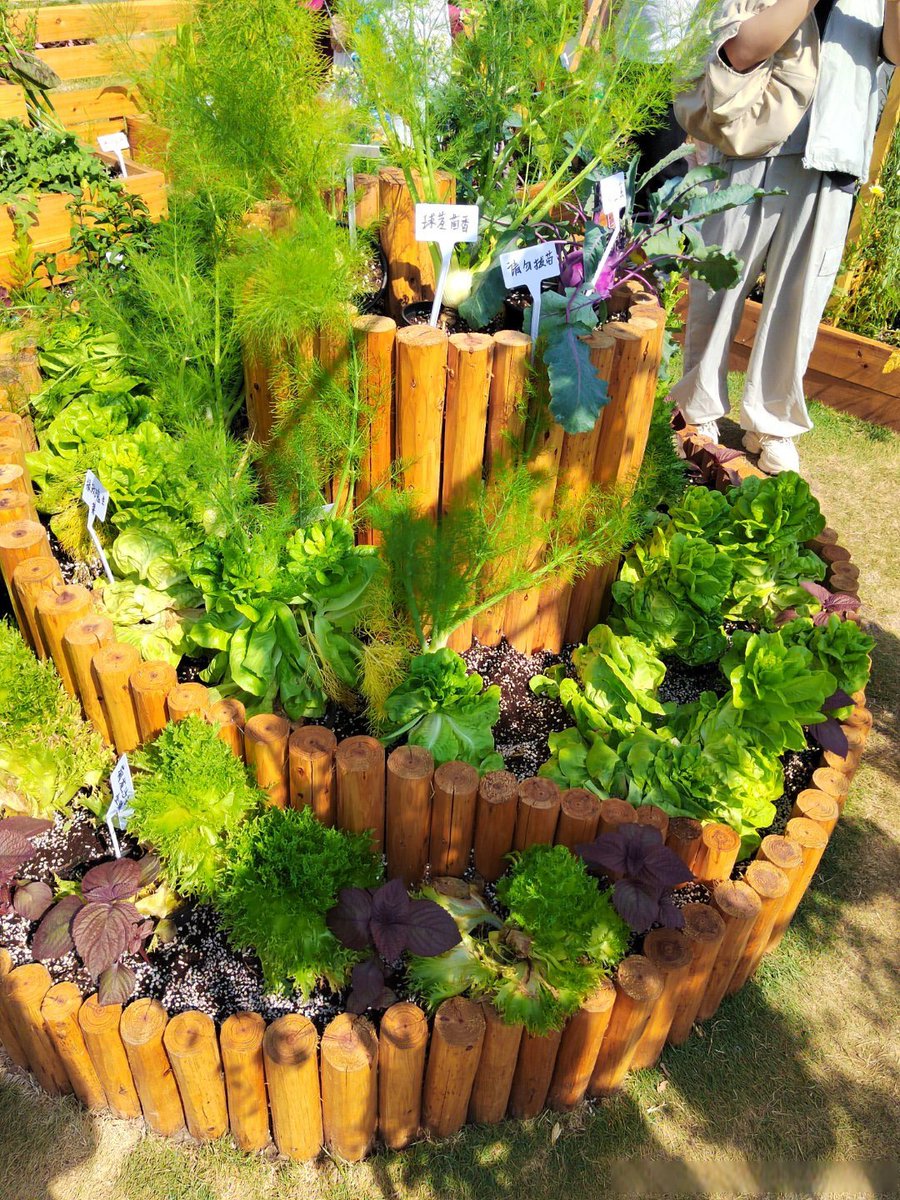 MariluAubeje's tweet photo. Turn an old mason jar into a cute herb planter in 5 mins! Add some soil and your favorite herbs for a tiny kitchen upgrade ， https://t.co/GgXs1THQfc