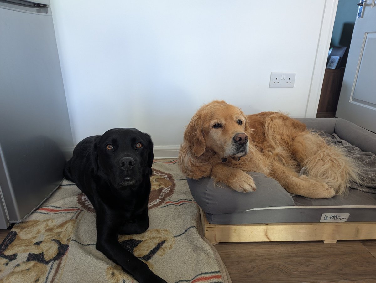 agoldentale's tweet photo. Happy 8th Birthday to captain chaos also known as my very lovable brother Barney, love you mate and looking forward to the cake 😘 https://t.co/phLOr23dVQ