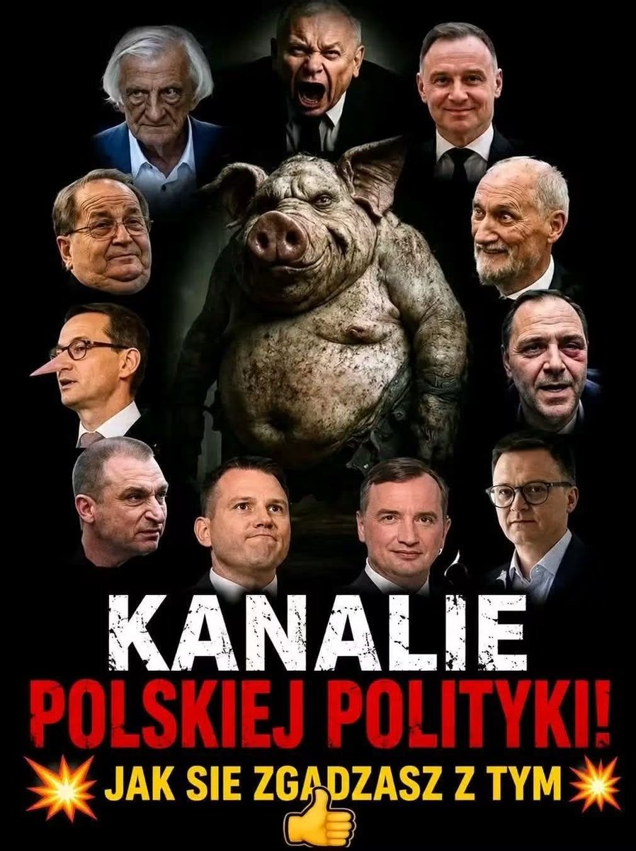 Egzekutor2000's tweet photo. Bez dwóch zdań zbiór ścierw i szumowin z @pisorgpl i @Suwerenna_POL..... Wszyscy powinni jak najszybciej trafić 👎 ziemię, najlepiej 30m https://t.co/b25XEHThkF