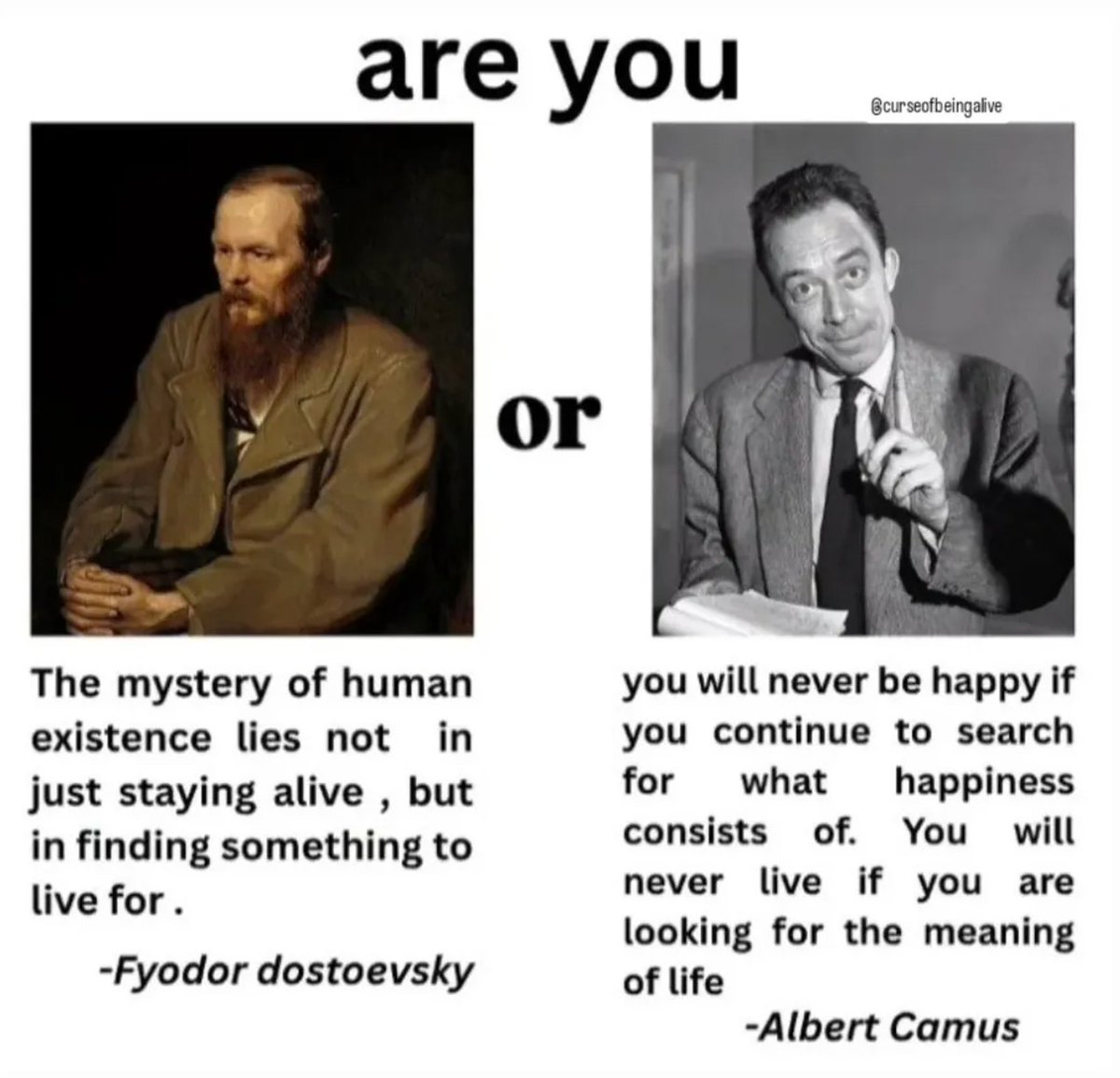 Dostoevskyquot's tweet photo. https://t.co/7K9vPtXUQ6