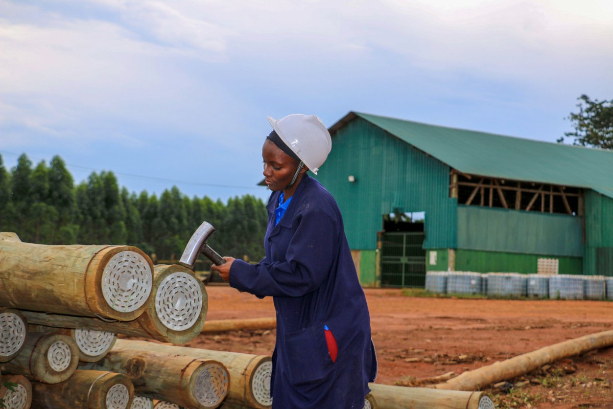 FAOUganda's tweet photo. @EUinUG @EzanaKg @FAOForestry @FAOEastAfrica @min_waterUg @JanSadek @ZKakungulu @BahiziPeter @UNinUganda "The same machine a man can operate, I too can" – Josephine Nayebare, a forestry graduate of @Makerere.

6 graduates - 4 of whom are women, are concluding their placement at Nile Fibreboard Ltd. The ladies are determined to have successful careers in the male dominated industry. https://t.co/d2Oj9PGFXI